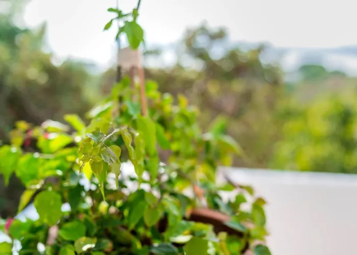 Panagiota, Pefkos Villa Pefki