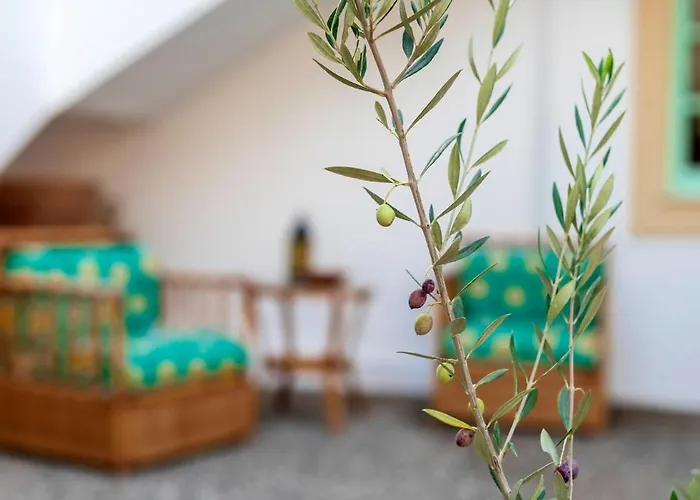 Panagiota, Pefkos Villa Pefki