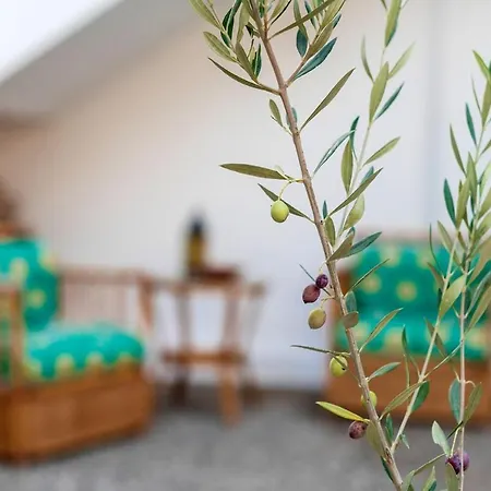 Panagiota, Pefkos Villa Pefki